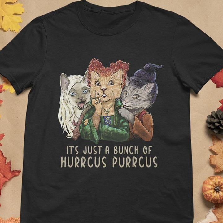 It Is A Bunch Of Hurrcus Purrcus Hocus Pocus Cats Classic T-Shirt Gift For Cats Lovers Halloween Lovers Tshirt