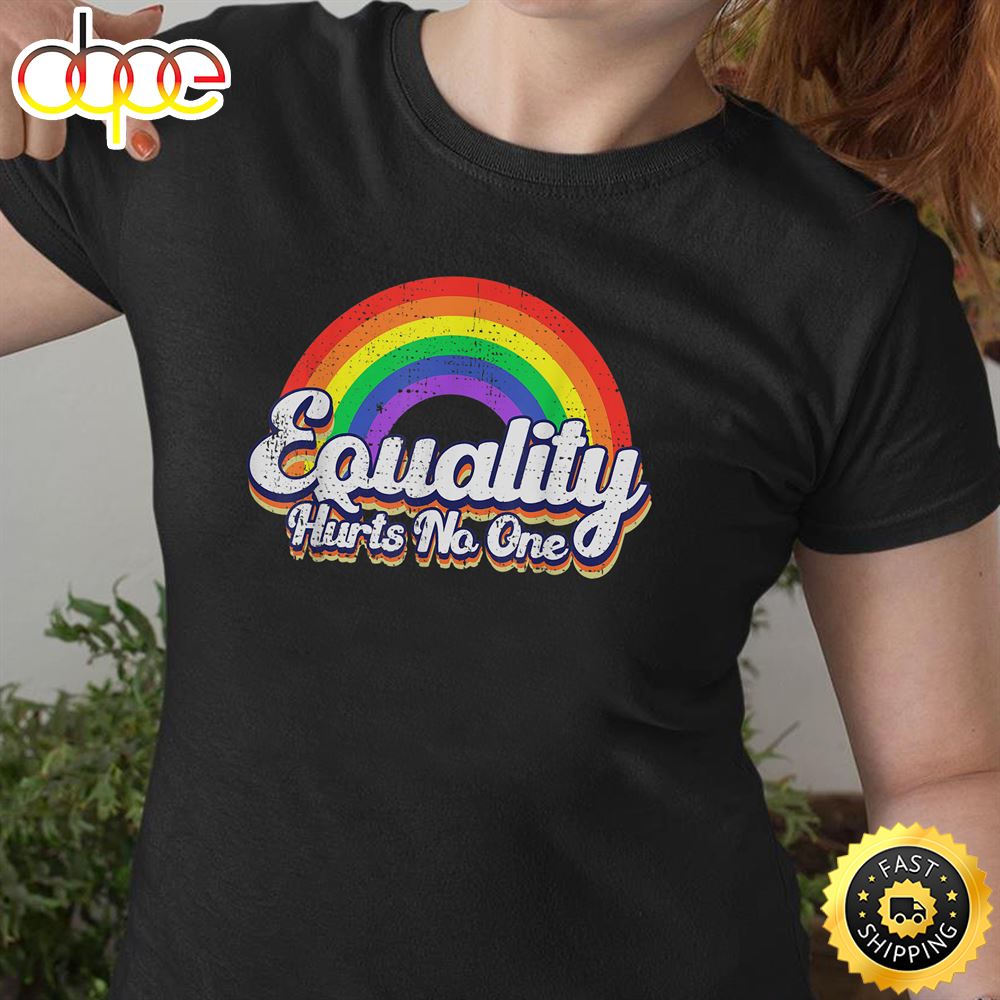 Equality Hurts No One LGBT Rainbow Retro Vintage LGBTQ Valentines Day T Shirt