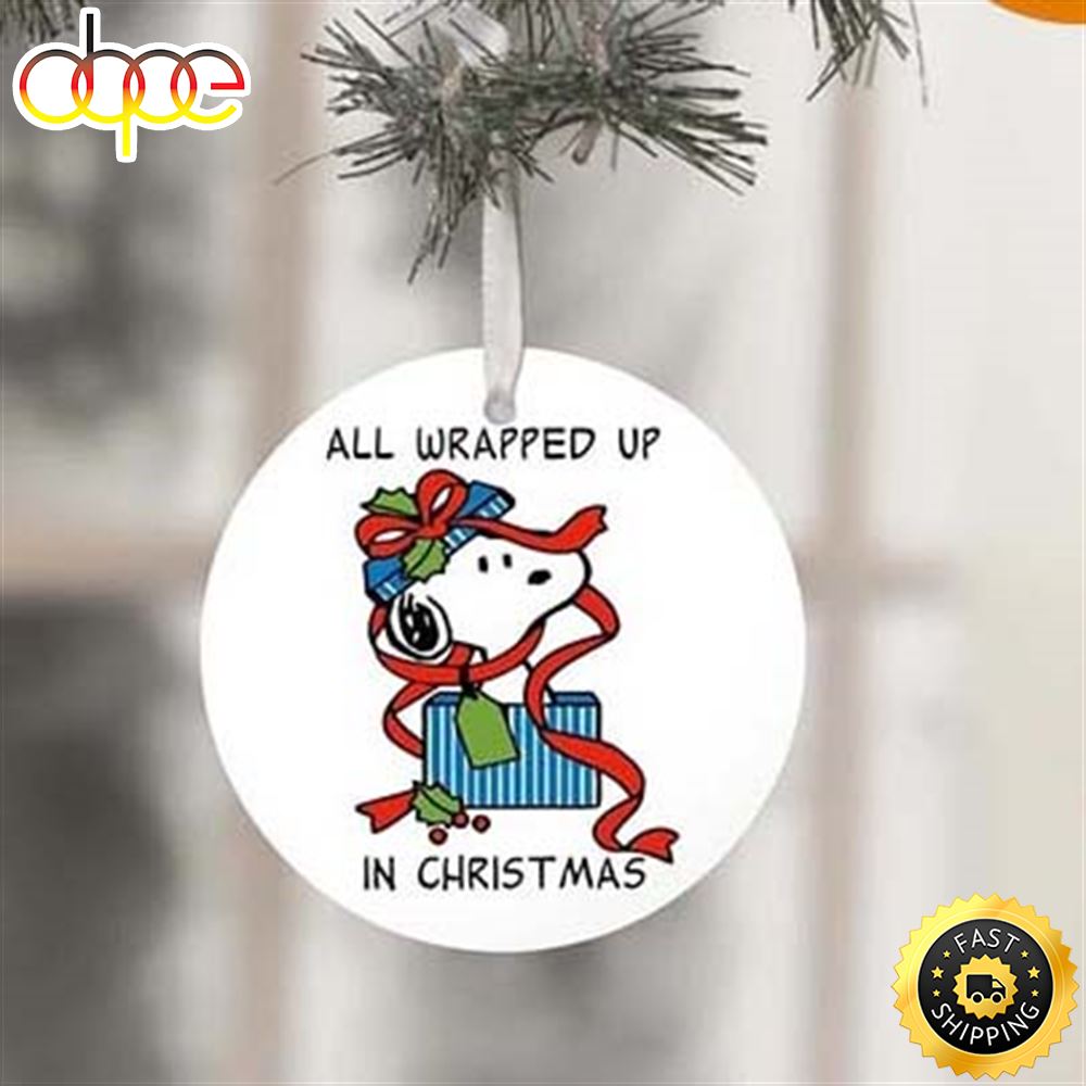All Wrapped Up In Christmas Ornament Snoopy Christmas Decorations Snoopy Christmas Tree Gift Box Ornaments R5x4ml
