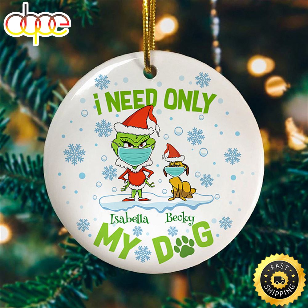 Grinch Stole Christmas I Need Only My Dog Funny Christmas Dog Lover Holiday G9h8cw