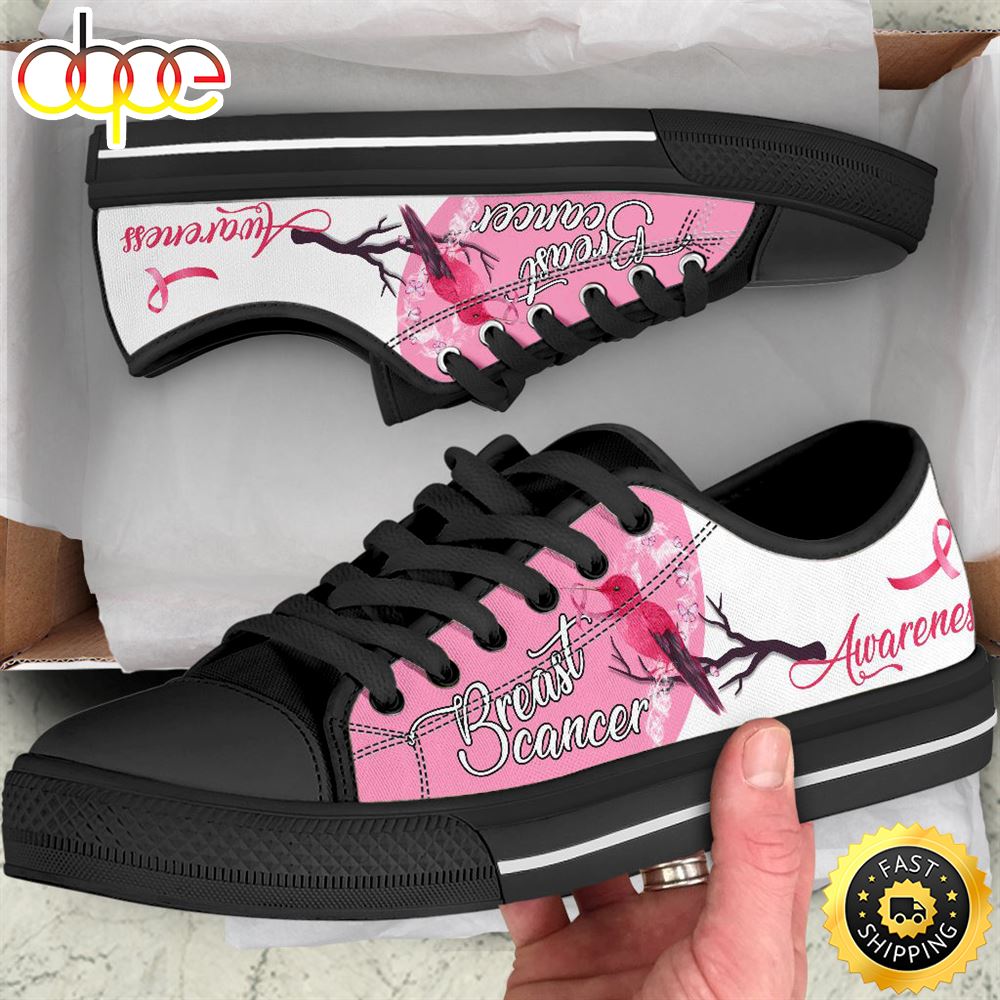 Breast Cancer Shoes Hummingbird Low Top Shoes Canvas Shoes Cbjykg